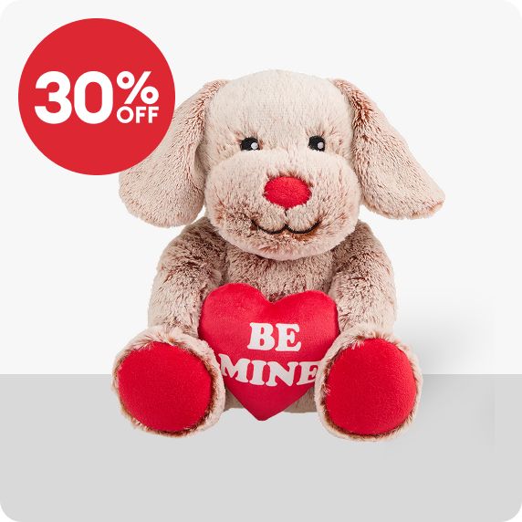 A Valentine's Day stuffed toy