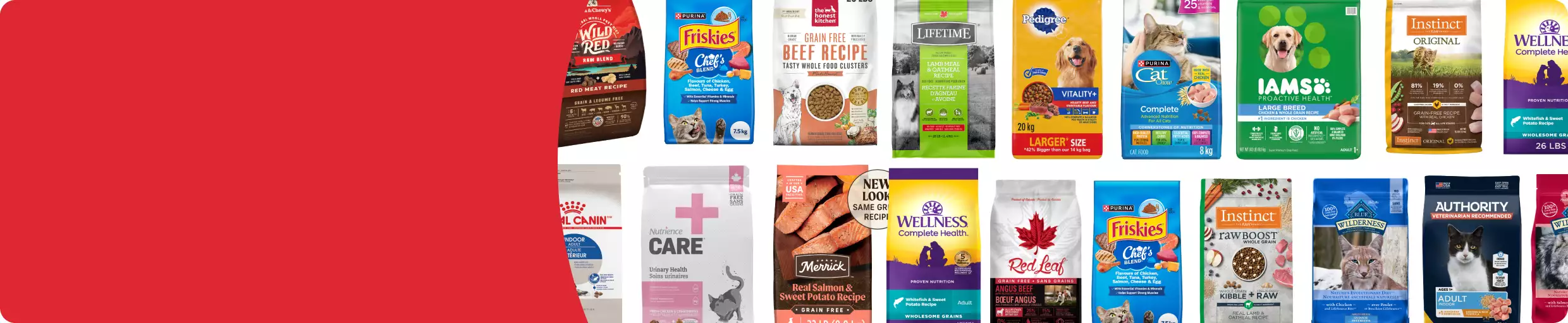 A dog and cat posing together