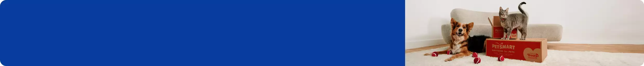 A cat and dog pose with PetSmart boxes and red tennis balls