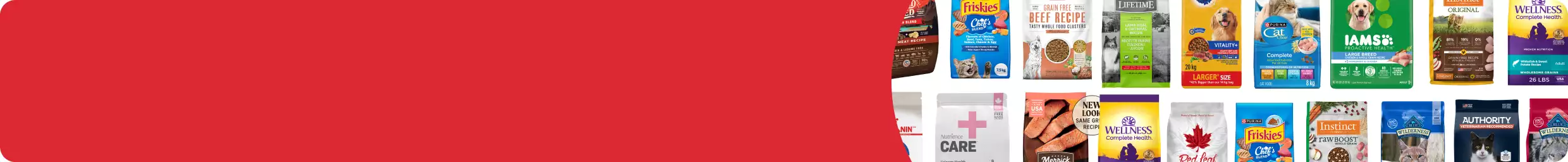 A dog and cat posing together