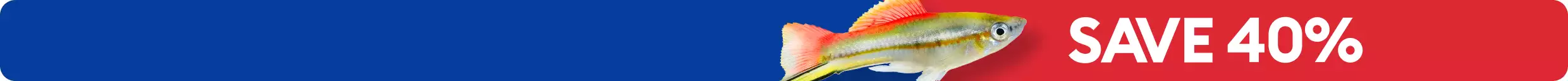 Colorful gold and orange fish with SAVE 40% in white with red background