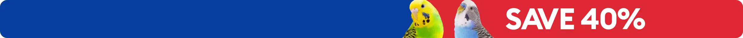 Two parakeets with SAVE 40%