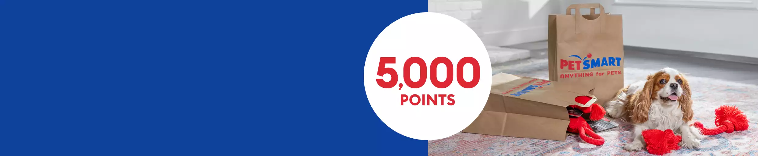 A dog plays with toys that are spilling out of a PetSmart paper bag. 