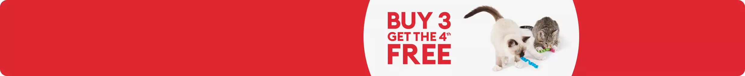 Two cats playing with variety of Whisker City spring toys