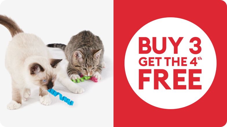 Two cats playing with variety of Whisker City spring toys 