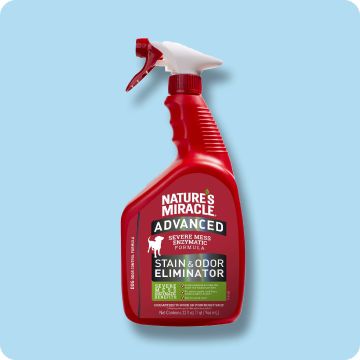 One bottle of Nature’s Miracle Advanced Stain & Odor Eliminator for Dogs  