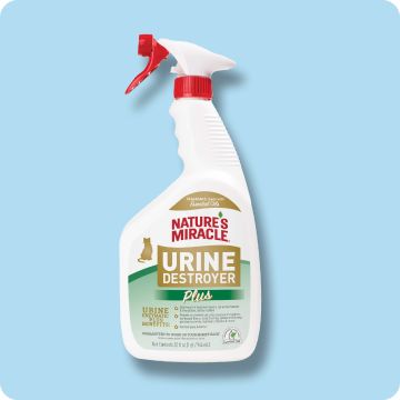One bottle of Nature’s Miracle Urine Destroyer Plus