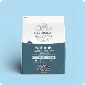 One bag of ExquisiCat Litter Multi-Cat Paper Pellet Cat Litter