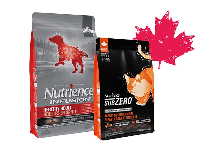 Nutrience dog and cat food bags