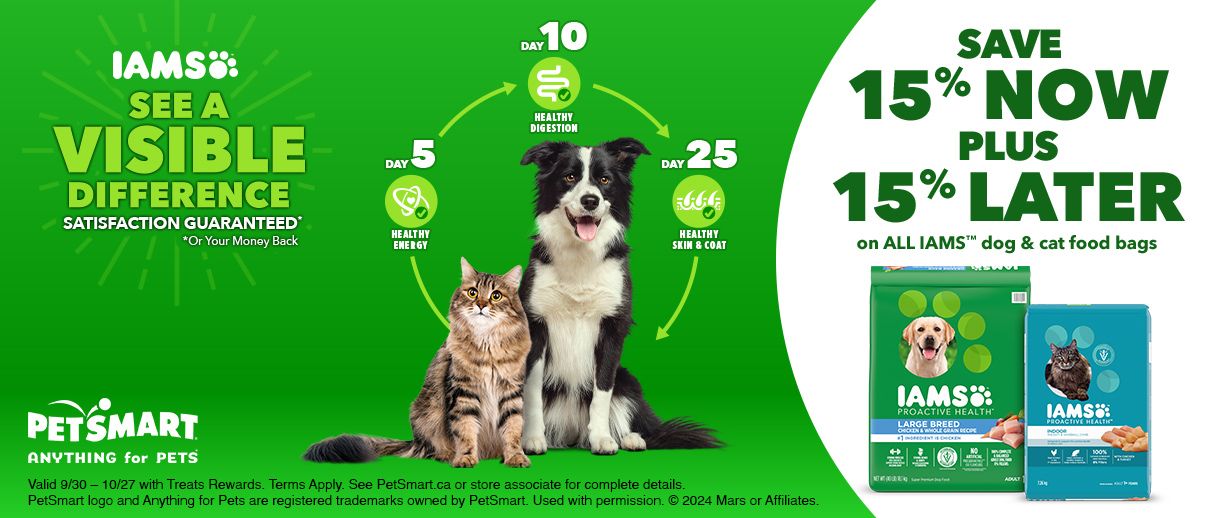 Green background IAMS dry dog and cat food