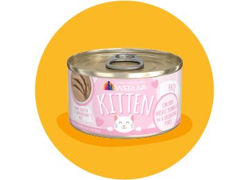 Can of Kitten Weruva cat food