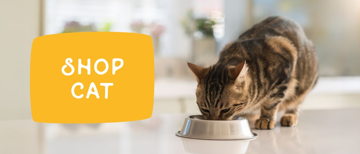 shop cat callout with cat eating out of a food bowl