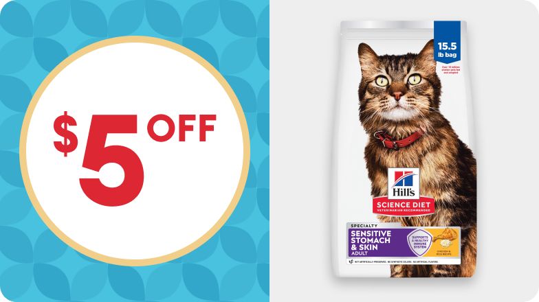 Sensitive Stomach Petsmart Wet Cat Food Hill's Science Diet Kitten Wet Food  Sensitive Stomach And Skin