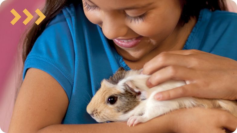 a guinea pig with it's new mom