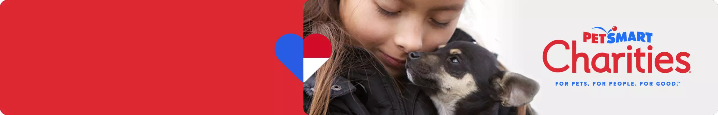 pet adoption