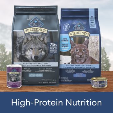 high-protein nutrition