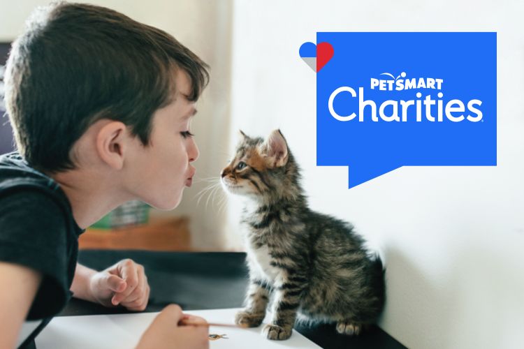 Charities Banner - kid with cat