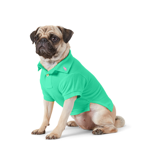 コットン メッシュ ドッグ ポロシャツペットウェア ドッググッズ 愛犬 犬服 ドッグウェア お揃い ラルフ ローレン公式オンラインストア