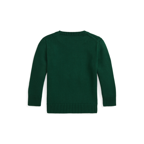 ドッグ インターシャニット セーター | ラルフ ローレン公式オンライン  