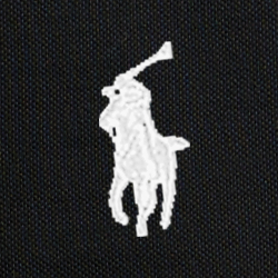 POLO RALPH LAUREN（ポロ ラルフ ローレン）】コットン メッシュ
