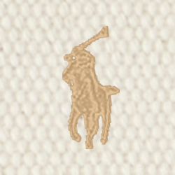 POLO RALPH LAUREN（ポロ ラルフ ローレン）】キャンバス ミディアム