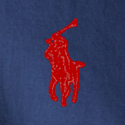 POLO RALPH LAUREN（ポロ ラルフ ローレン）】クラシック フィット