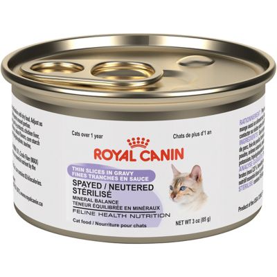 Feline Aging Spayed/Neutered 12+ dry cat food | Royal Canin® Feline ...