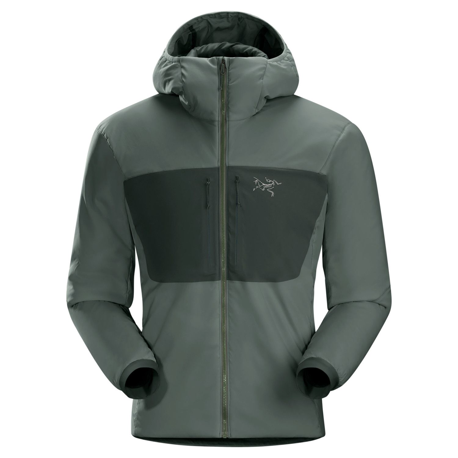 proton ar arcteryx