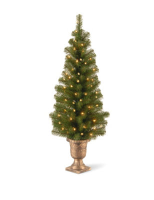 National Tree Company 4-ft. Montclair Spruce Entrance Tree With Clear Lights -  - National Tree Company