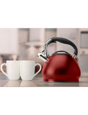 Kitchen Details 3.4L Whistling Tea Kettle