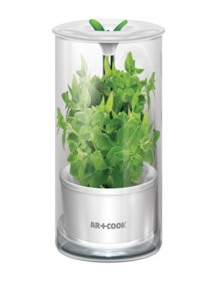 Fresh herb. Herb Keeper контейнер для зелени. Herb savor Storage Container. Fresh Keeper. Кипер цветок.