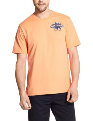 UPC 821126112633 product image for Izod Men's Rays & Waves T-shirt - Melon - M - Izod | upcitemdb.com