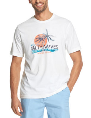 UPC 821126024882 product image for Izod Men's Salty Waves Island T-shirt - White / Multi - M - Izod | upcitemdb.com