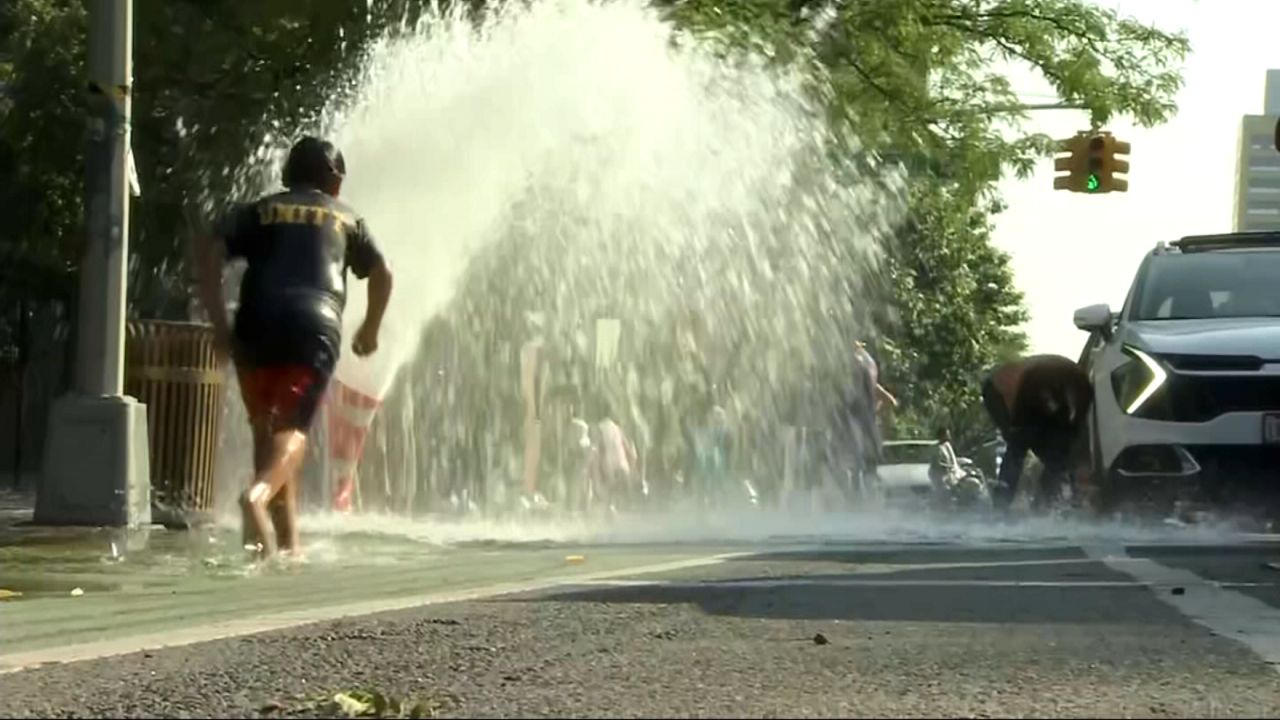 トップス LFYT GRINDLODGE NYC FIRE HYDRANT SKATER Tony Hawk's Pro Skater 1 + 2 - All Fire Hydrants in NY City