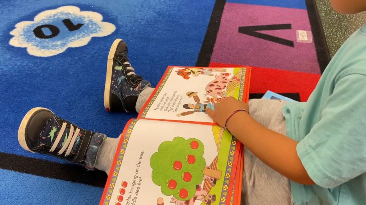 NYC's New Reading Curriculum: Is It Working?  Scores Dip After First Year