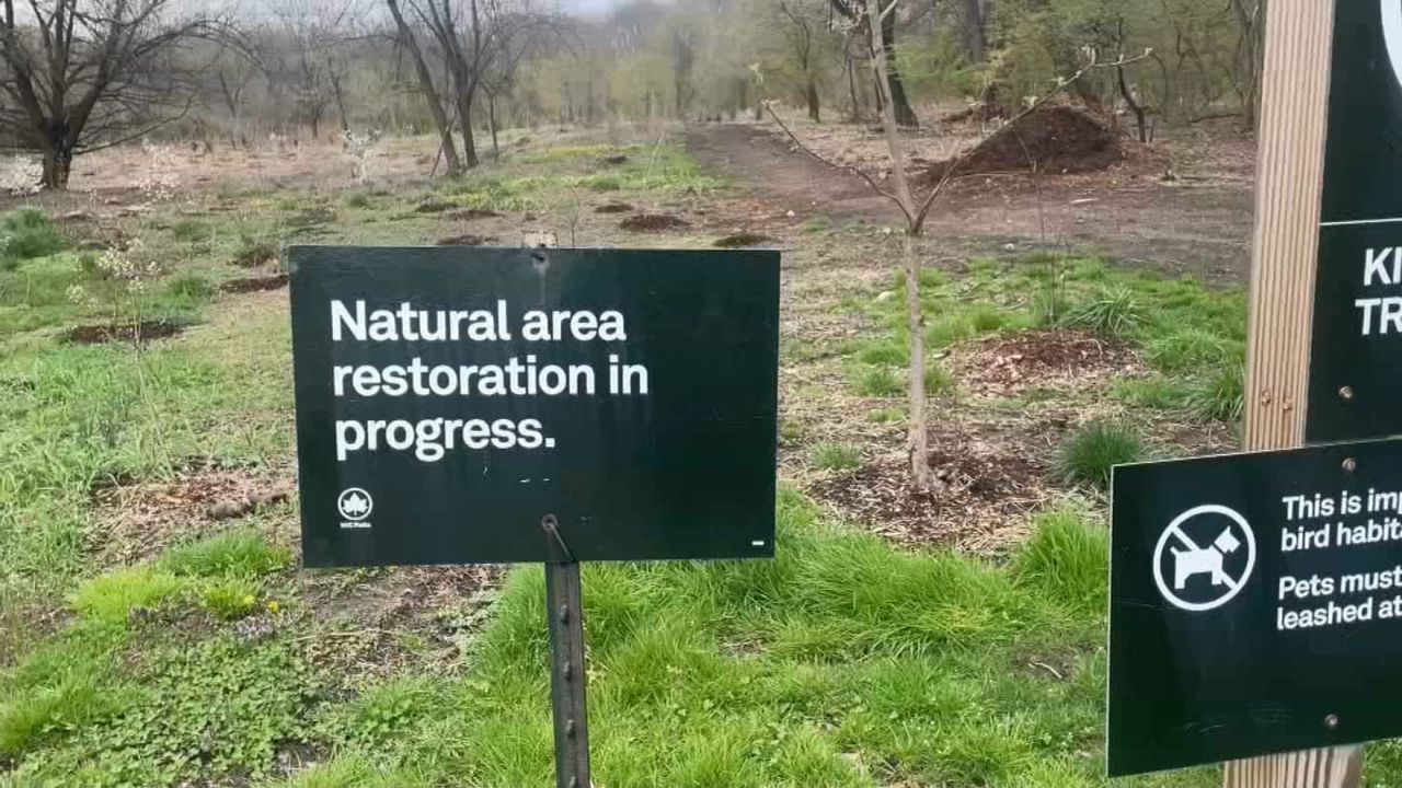 Queens Leaders, Volunteers Ask For Help Against Park Vandals