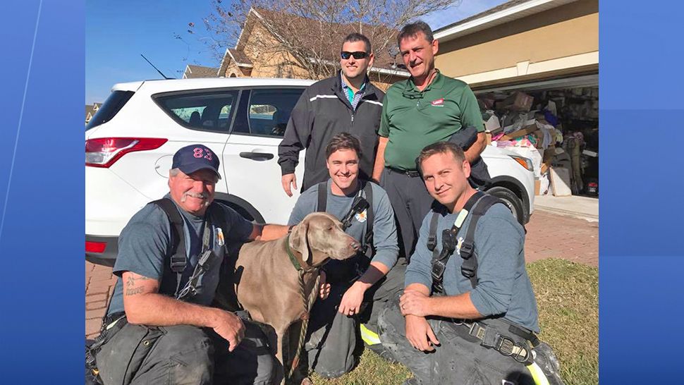 Joker is seen with the firefighters who rescued him from a house fire in DeLand on Wednesday, Jan. 16, 2019. (City of DeLand)