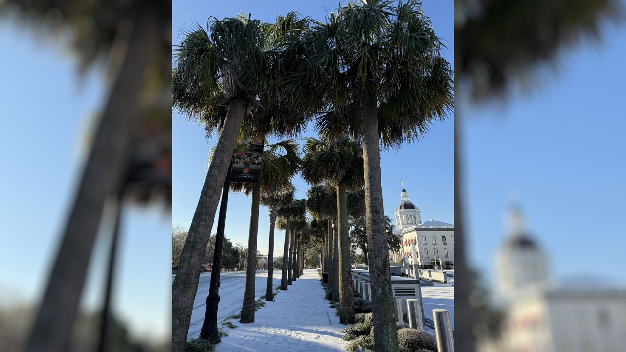 Snow has covered Florida's capitol. (Spectrum News)