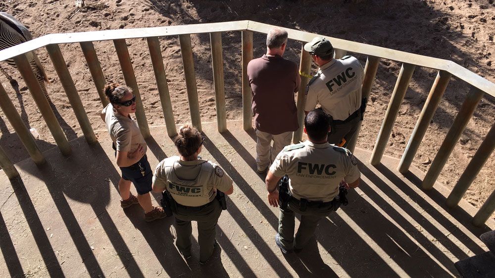 FWC officials check out the Rhino Encounter area at Brevard Zoo where a child reportedly stumbled and fell into the exhibit. (Vincent Earley, Spectrum News)