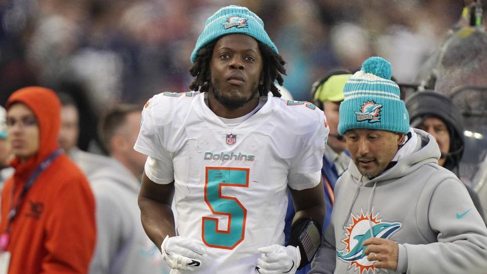 Miami Dolphins cling to playoff hopes after loss