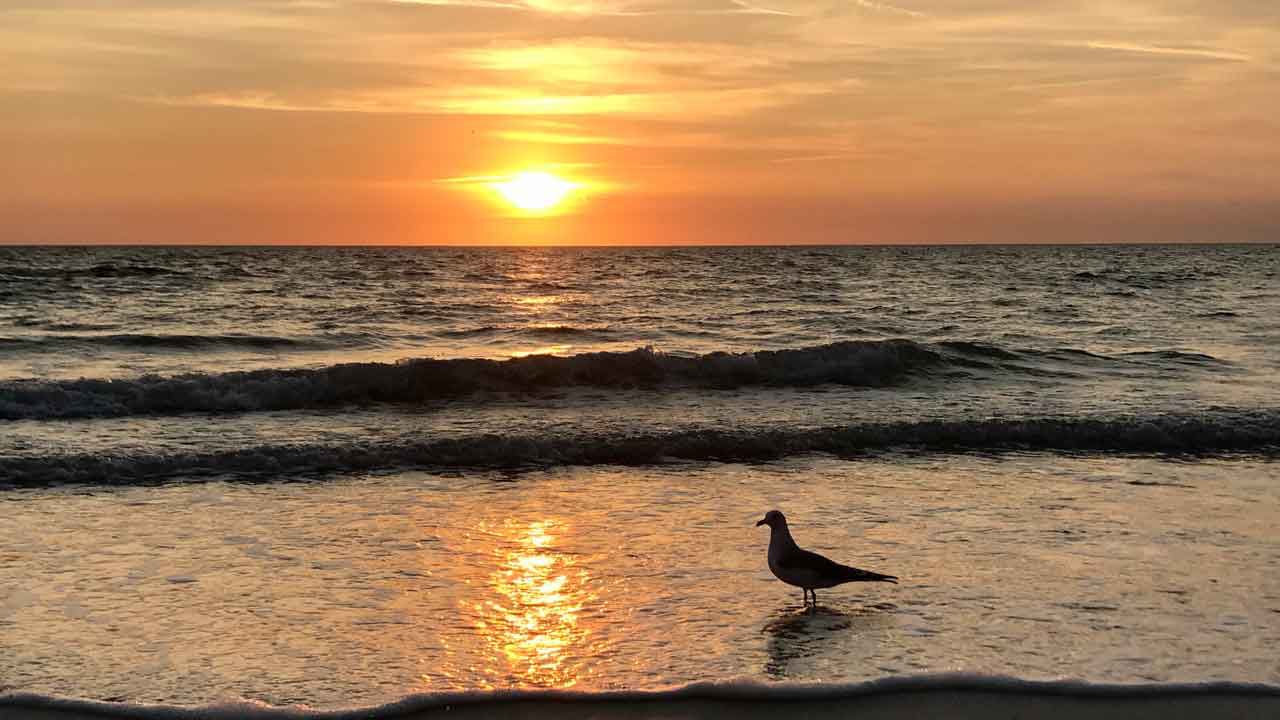 Sunset in Treasure Island