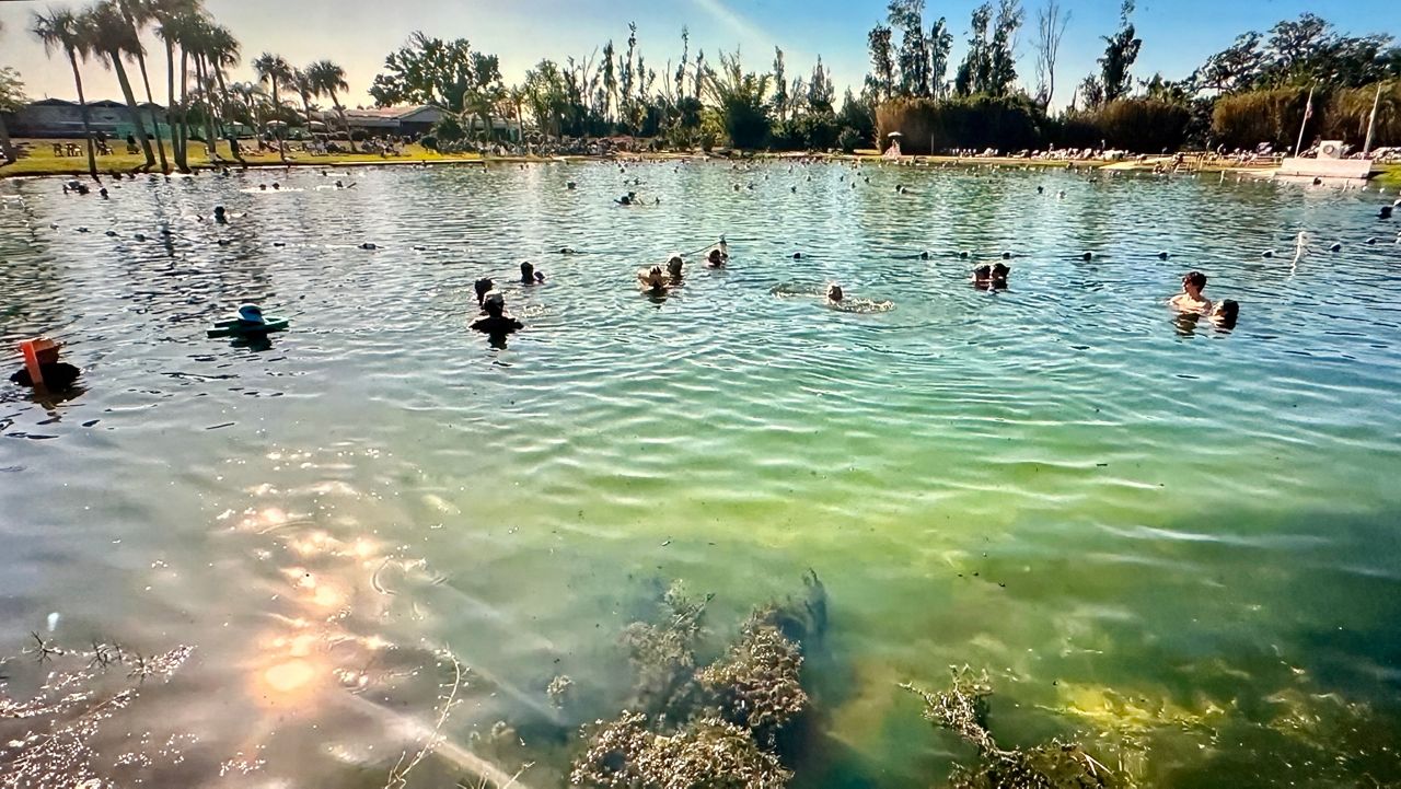 Florida On A Tankful visits Warm Mineral Springs of North Port. (Spectrum Bay News 9/Tim Kania)