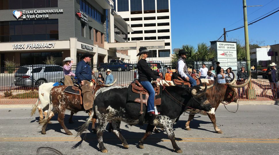 Cattle Drive Kicks Off San Antonio Stock Show and Rodeo