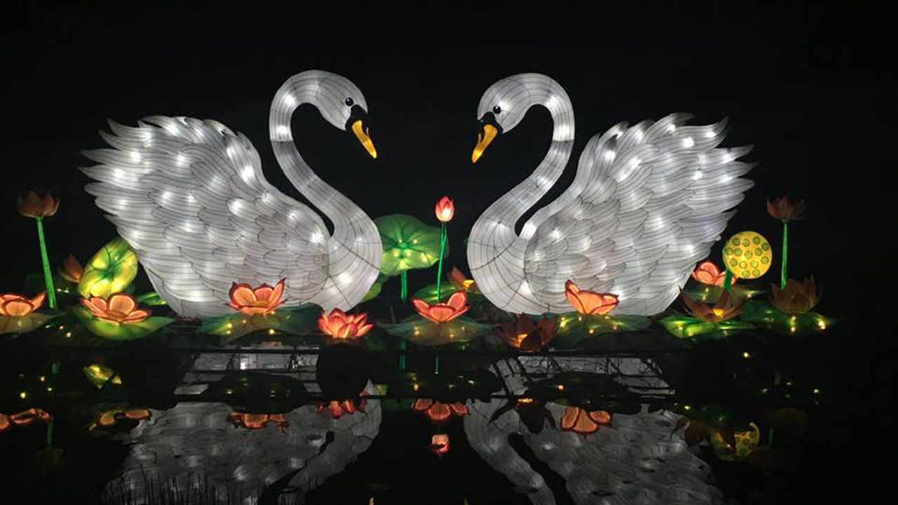 On the Town 5 Things to Know About Asian Lantern Festival