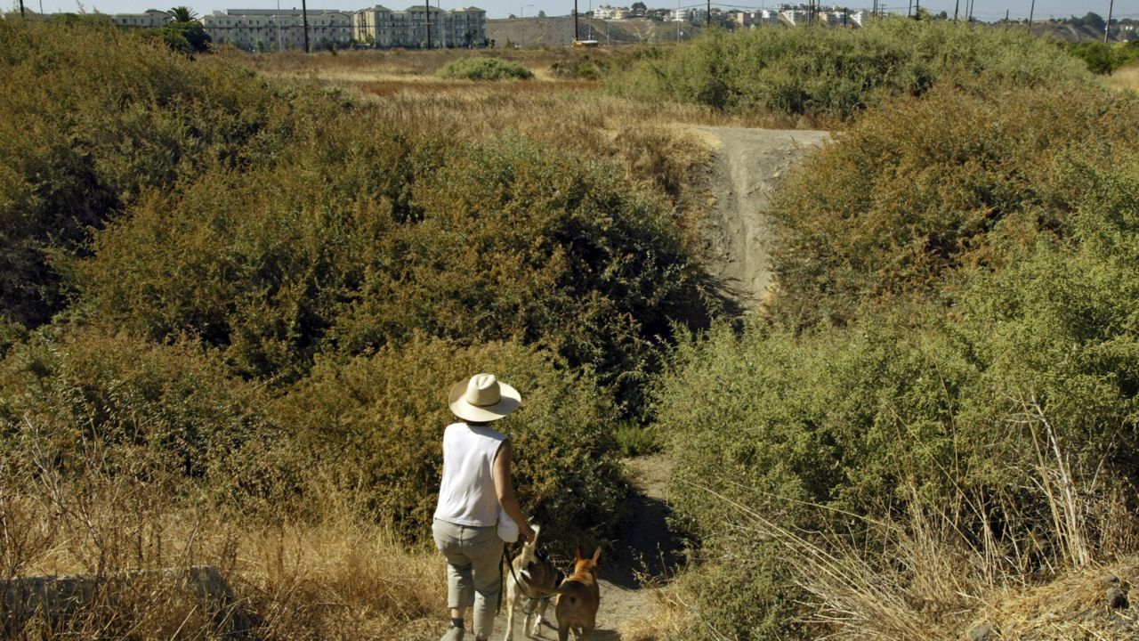 An unidentified woman walks her dogs down a creek in the Ballona Wetlands. (AP Photo/Damian Dovarganes)