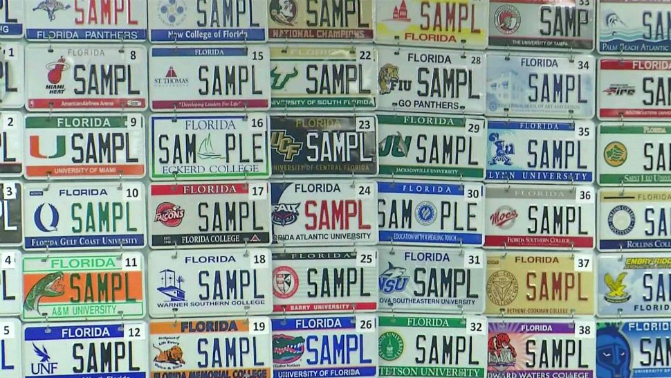 Sample Florida license plates at a Department of Highway Safety and Motor Vehicles office (Spectrum News 13)