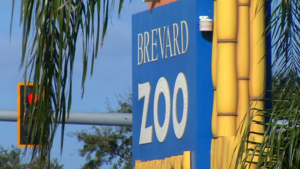 Brevard Zoo Offering Discount on Admission