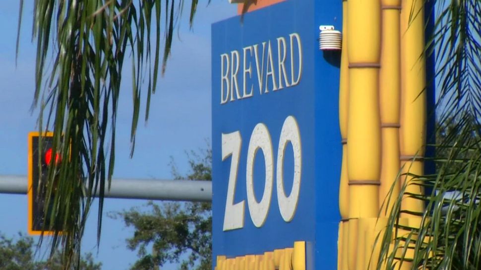 Brevard Zoo (File)