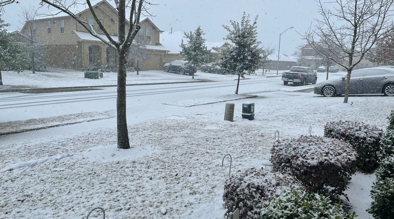 Snow in Austin, Texas. (Spectrum News 1/Dr. Nicole Cross)