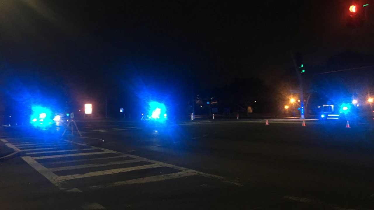 FHP investigates a deadly hit-and-run crash on Little Road in New Port Richey Saturday morning. (Jorja Roman, Spectrum News)